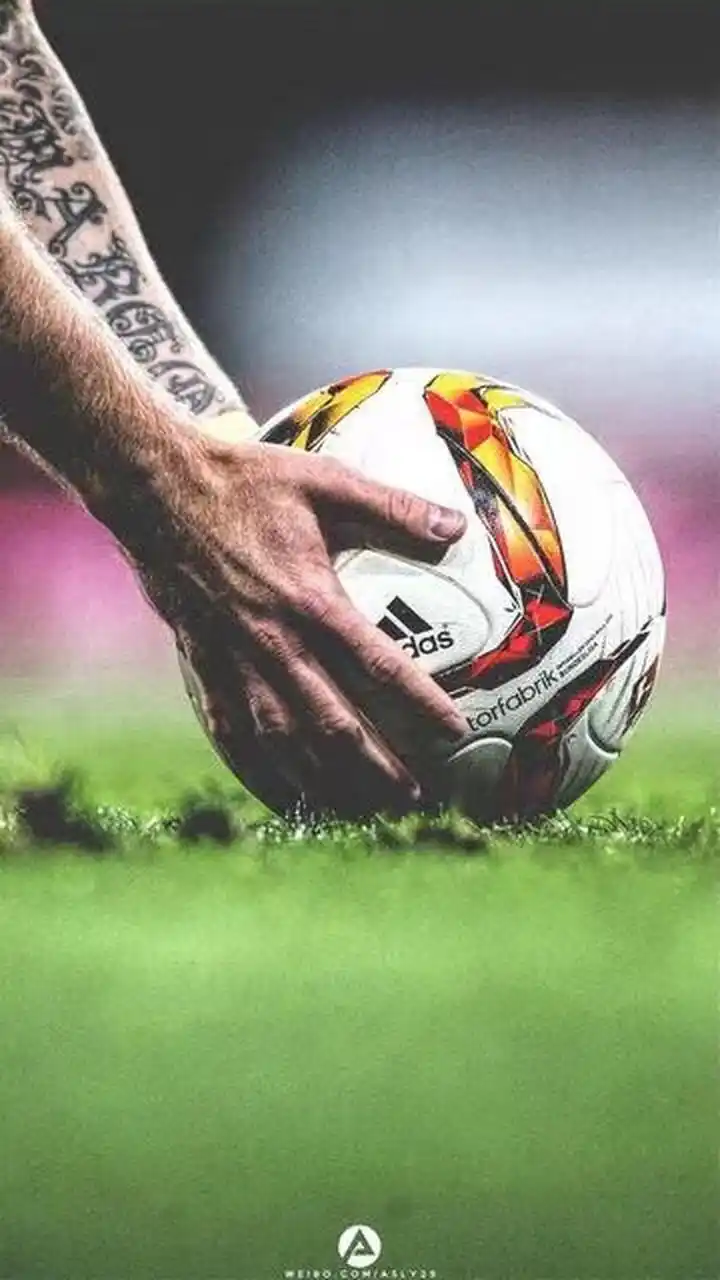 个赛季的球 个赛季的球